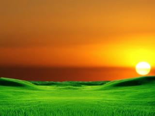обои Зеленое поле на закате фото