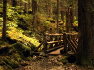 обои Сказочный мост в лесу фото