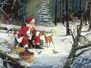 обои для рабочего стола: Дед Мороз кормит диких животных