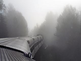 обои Поезд уходит в туман фото
