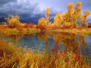 обои для рабочего стола: Осенний пруд под грозовым небом
