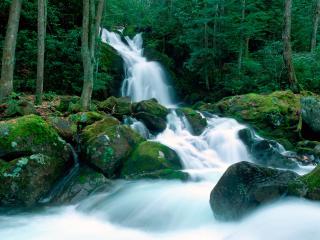 обои Mouse Creek Falls, North Carolina фото