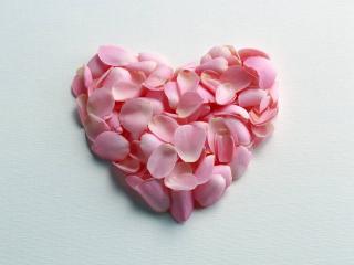 обои Сердце из лепестков розовых роз фото