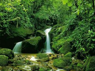 обои Водопад и зеленые камни фото
