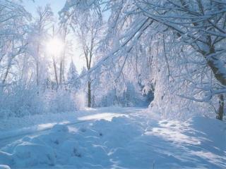 обои Зимний пейзаж фото