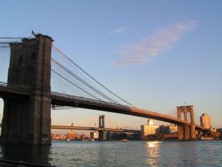 обои Бруклинский мост утром фото
