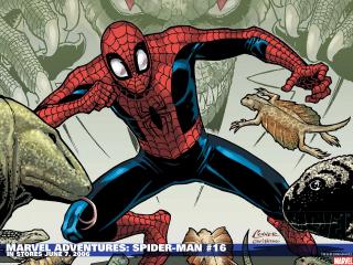 обои Spiderman - человек-паук фото