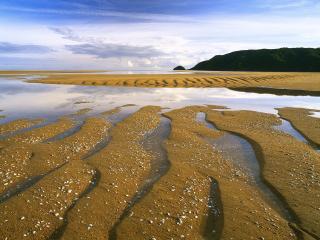 обои Песок и вода фото