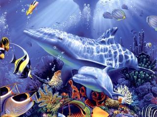 обои Красивый подводный мир с дельфинами фото