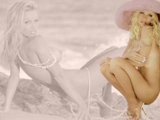обои Pamela Anderson в шляпке фото