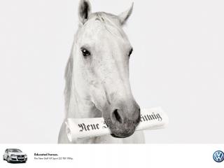обои Белый конь - реклама Фольксваген фото