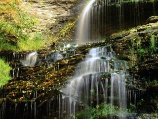 обои Cathedral Falls, West Virginia фото