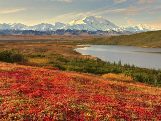 обои Denali National Park, Alaska фото