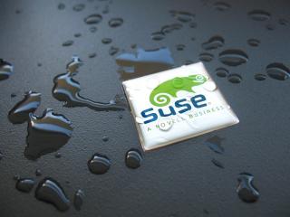 обои для рабочего стола: SUSE Linux Logo