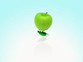 обои Зеленое яблоко на жуке фото