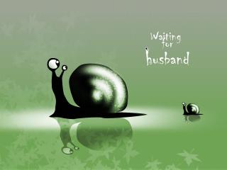 обои Улитка - Waiting for husband фото