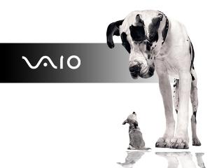 обои Sony Vaio - собака фото