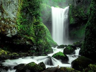 обои Falls Creek Falls, Gifford Pinchot National Forest, Washingt фото