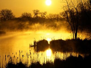 обои для рабочего стола: Golden Sunrise, Colorado