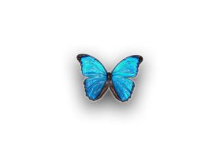 обои Ярко-синяя бабочка фото