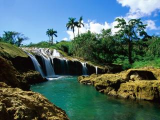 обои Водопад в тропических лесах фото