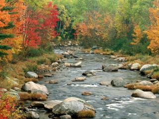 обои Autumn Colors, White Mountains, New Hampshire фото