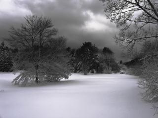 обои Зимний пейзаж фото