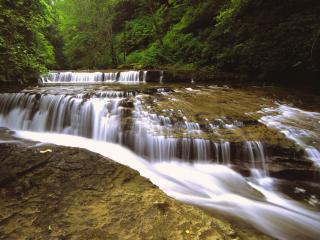 обои Sweet Creek, Siuslaw National Forest фото