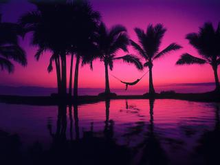 обои Фиолетовый закат фото