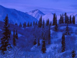 обои для рабочего стола: Snow-Covered Alaskan Range