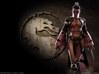 обои Mortal Kombat - с оружием фото