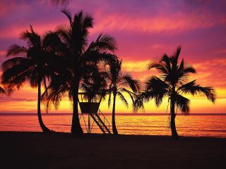 обои Silhouettes at Sunset, Oahu, Hawaii фото