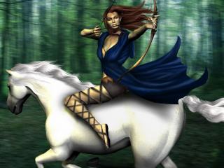 обои Эльфийка на белом коне фото