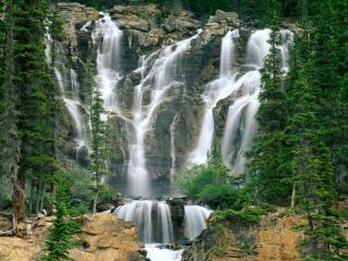 обои Tangle Creek Falls, Jasper National Park, Canada фото