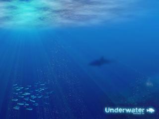 обои Подводный мир фото