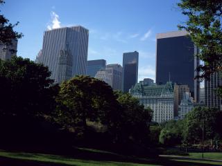 обои Views of New York - вид на парк фото