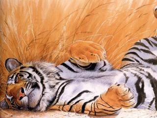 обои Тигр отдыхает фото