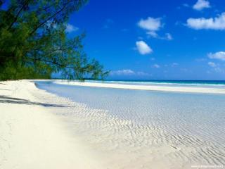 обои Пляж Taino, Багамские острова фото