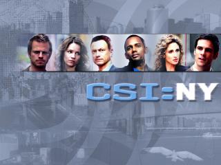 обои CSI NY team фото