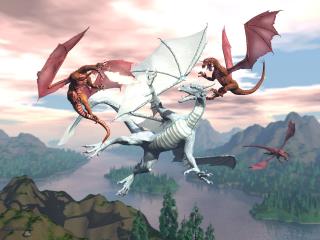 обои Красные драконы нападают на белого фото