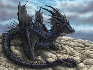 обои Черный дракон отдыхает на камне фото