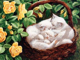 обои Три белых котенка спят в корзине фото