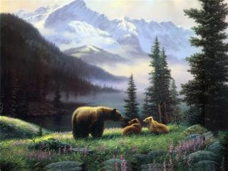 обои Медведица с медвежатами на лугу фото