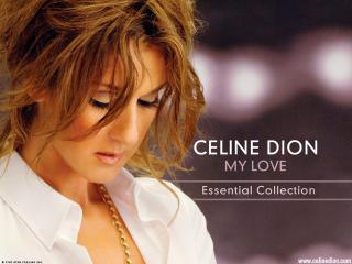 обои Celine Dion - My Love фото