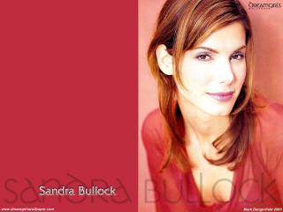 обои Сандра Баллок (Sandra Bullock) фото