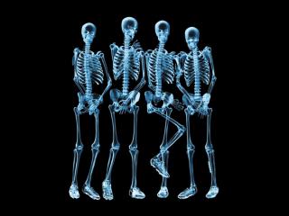 обои Группа скелетов фото
