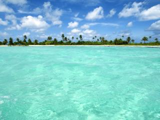 обои Красивый пальмовый остров фото