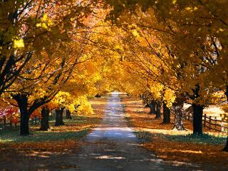 обои Осенней пейзаж дороги фото