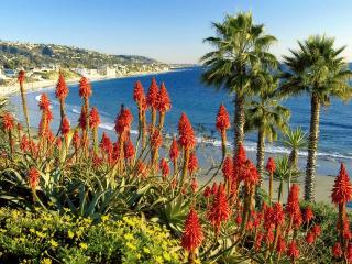 обои Laguna Beach Landscape, California фото