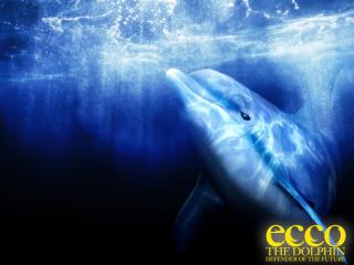 обои Ecco- The Dolphin Defender of the Future фото